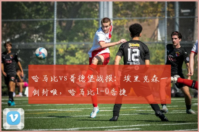 哈马比vs哥德堡战报：埃里克森一剑封喉，哈马比1-0告捷