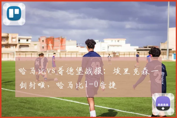 哈马比vs哥德堡战报:埃里克森一剑封喉,哈马比1-0告捷